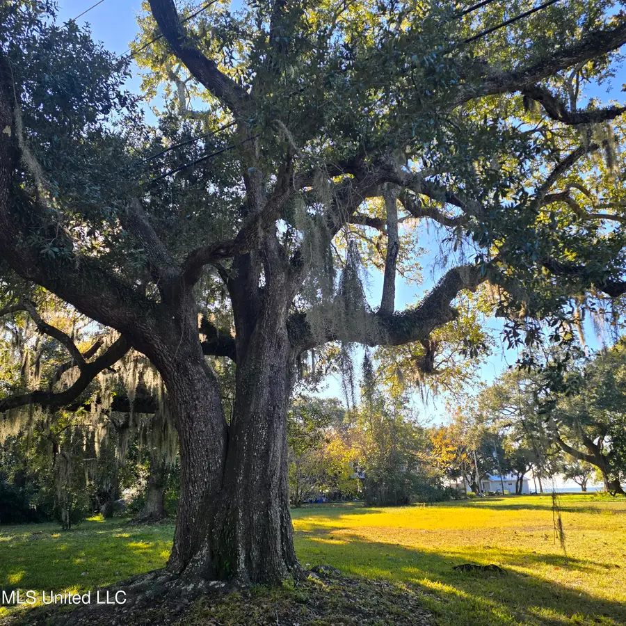 704 Washington Avenue, Pascagoula, MS 39567 - #2