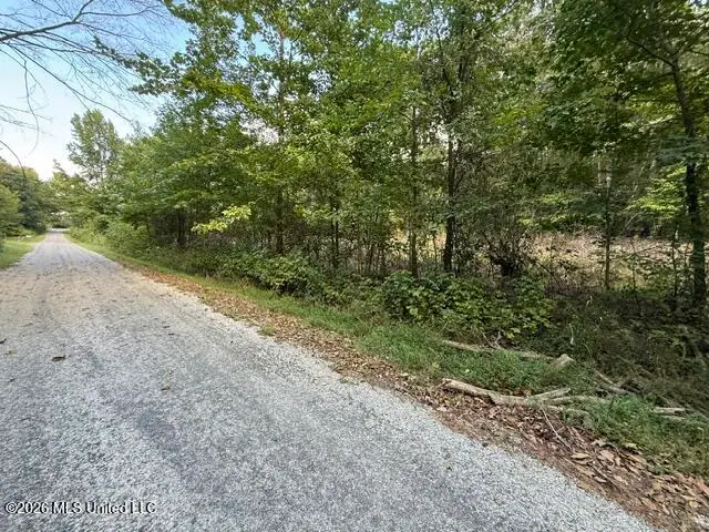 Ted Cove, Byhalia, MS 38611 - #1