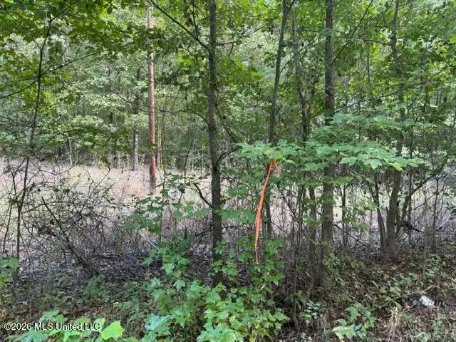 Ted Cove, Byhalia, MS 38611 - #3