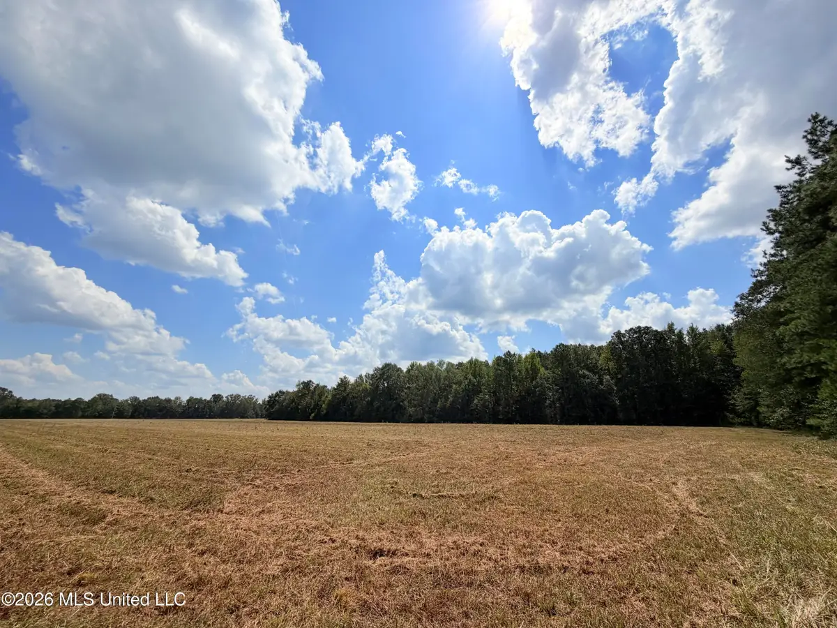 Smith Avenue Road, Carthage, MS 39051 - #1