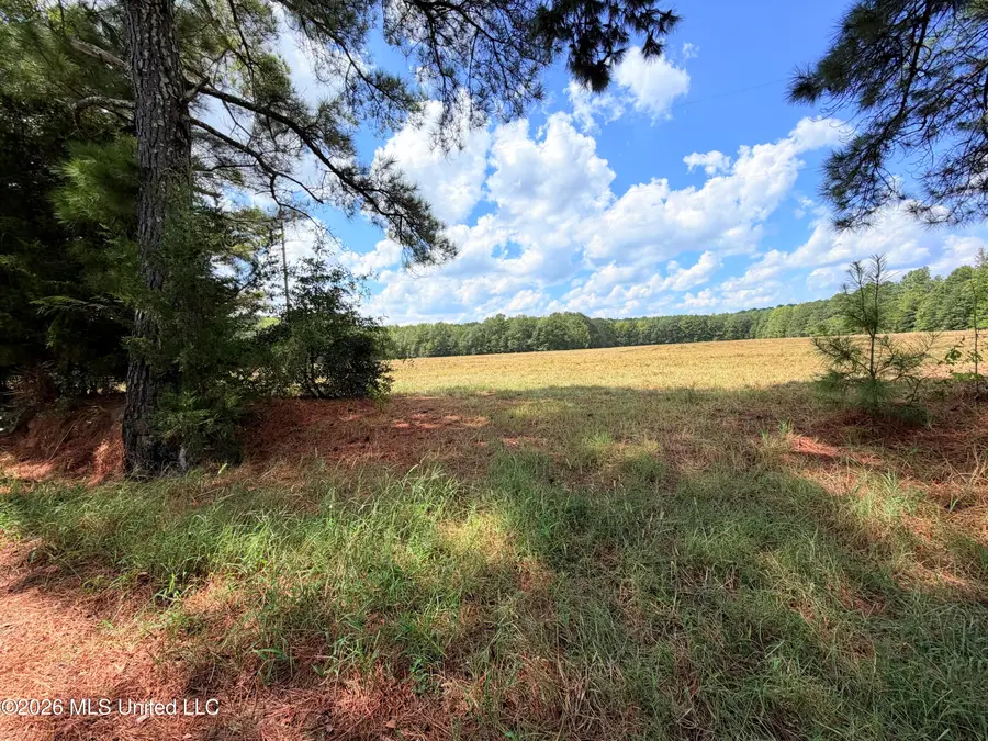 Smith Avenue Road, Carthage, MS 39051 - #2