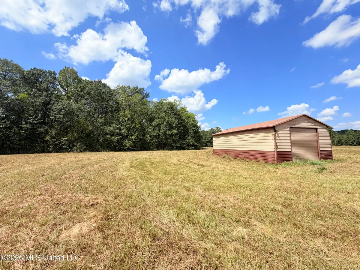 002 Smith Avenue Road, Carthage, MS 39051 - #1