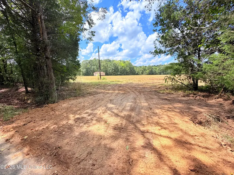 002 Smith Avenue Road, Carthage, MS 39051 - #2