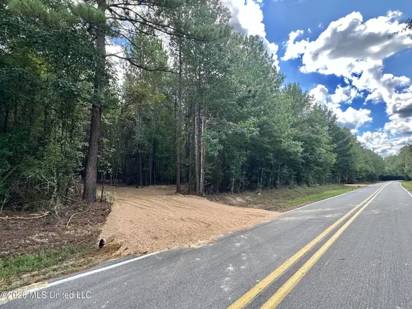 1 Clara Foote Rd, Braxton, MS 39044