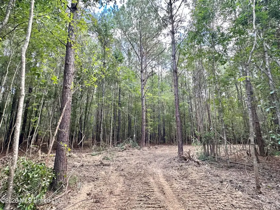 1 Clara Foote Rd, Braxton, MS 39044 - #2