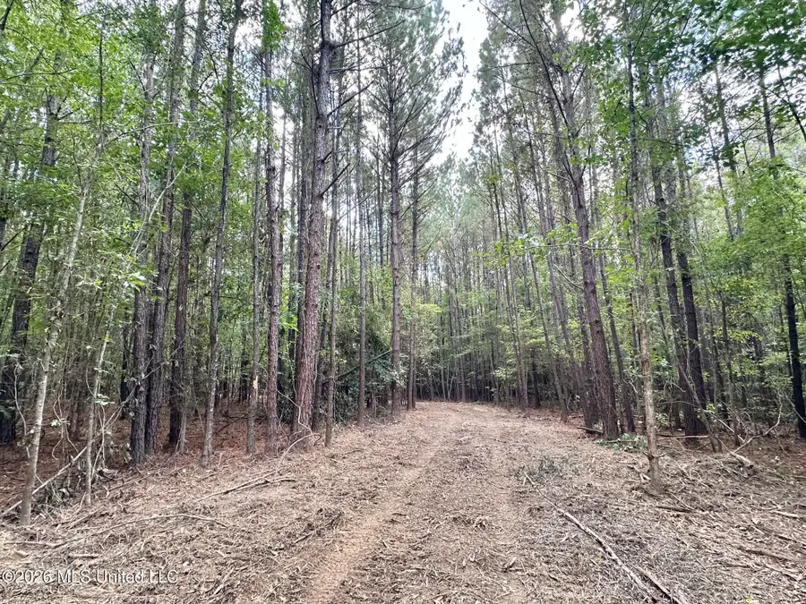 1 Clara Foote Rd, Braxton, MS 39044 - #3