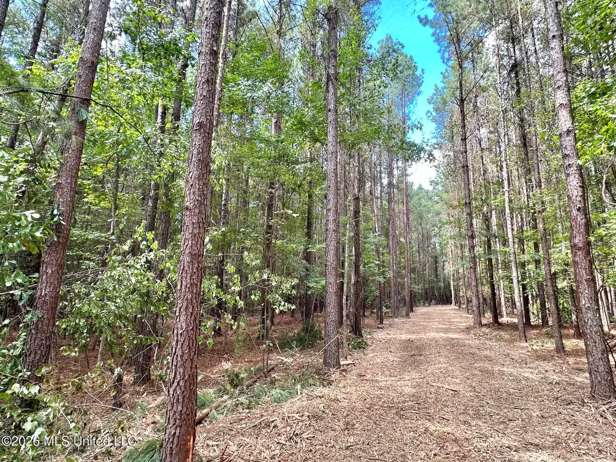2 Clara Foote Rd, Braxton, MS 39044 - #1