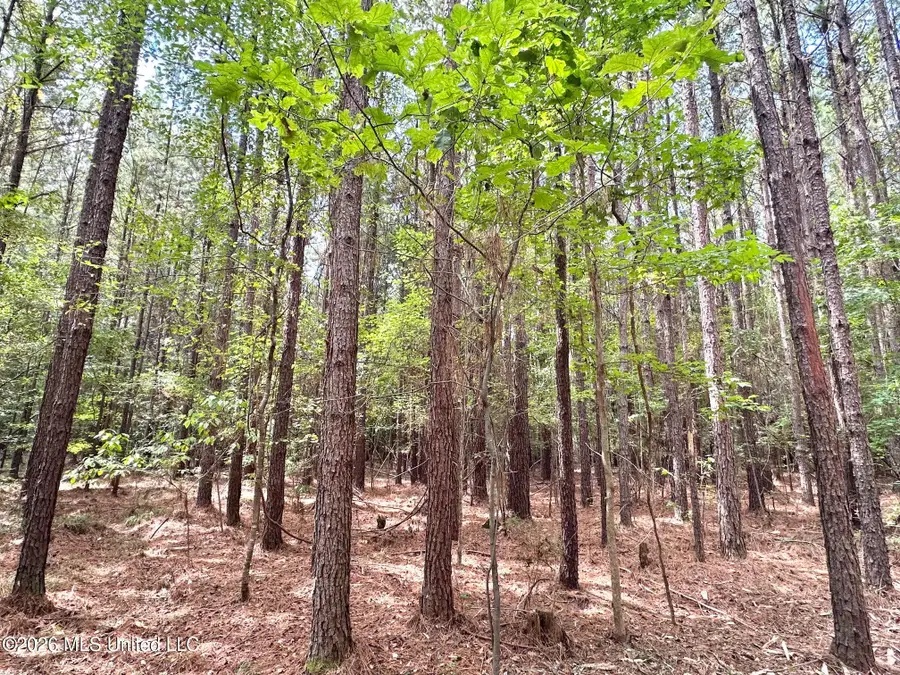 2 Clara Foote Rd, Braxton, MS 39044 - #2