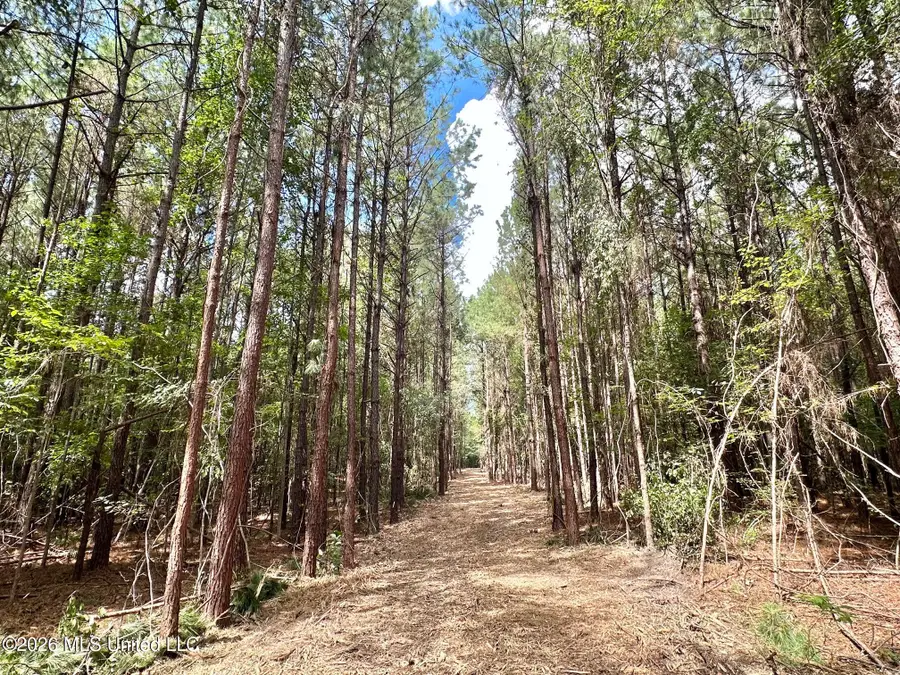2 Clara Foote Rd, Braxton, MS 39044 - #3