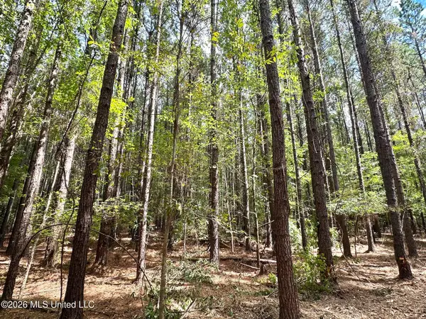 3 Clara Foote Rd, Braxton, MS 39044