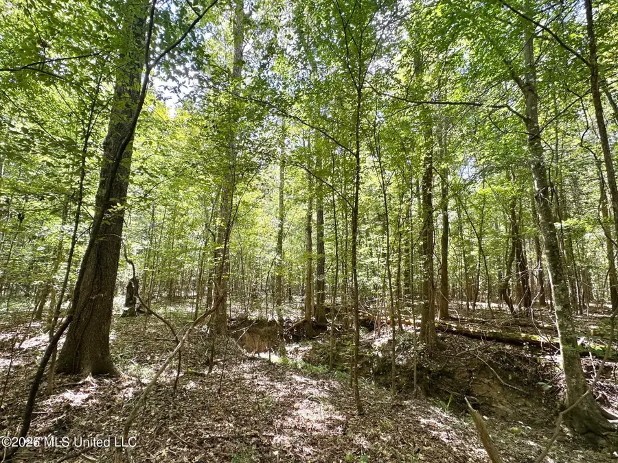 4 Clara Foote Rd, Braxton, MS 39044 - #2