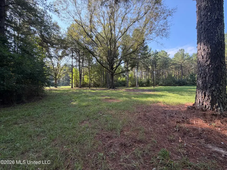 Mississippi 18, Raleigh, MS 39153 - #2