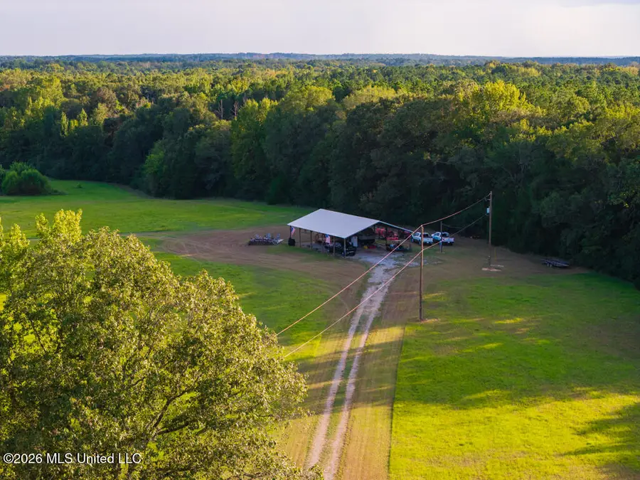214 Cook Cobb Road, Camden, MS 39045 - #3