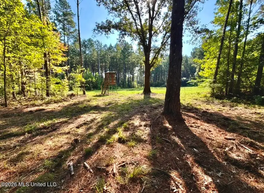 Mississippi 18, Raleigh, MS 39153 - #2