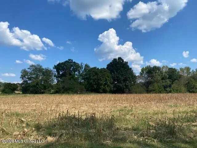 2770 Mississippi 305, Coldwater, MS 38618 - #3