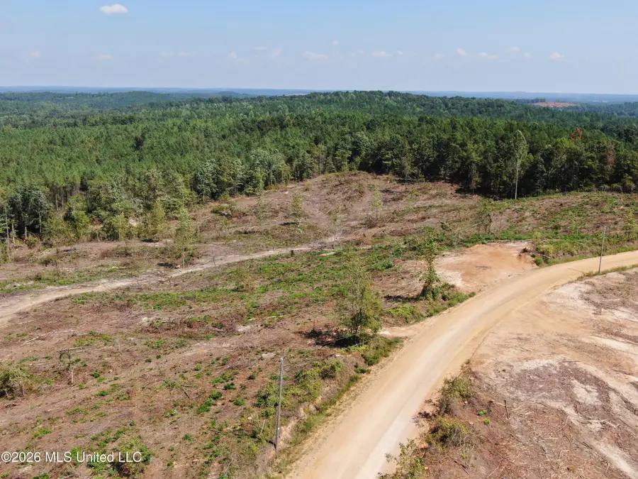 350 Baumann Road, Hickory Flat, MS 38633 - #2
