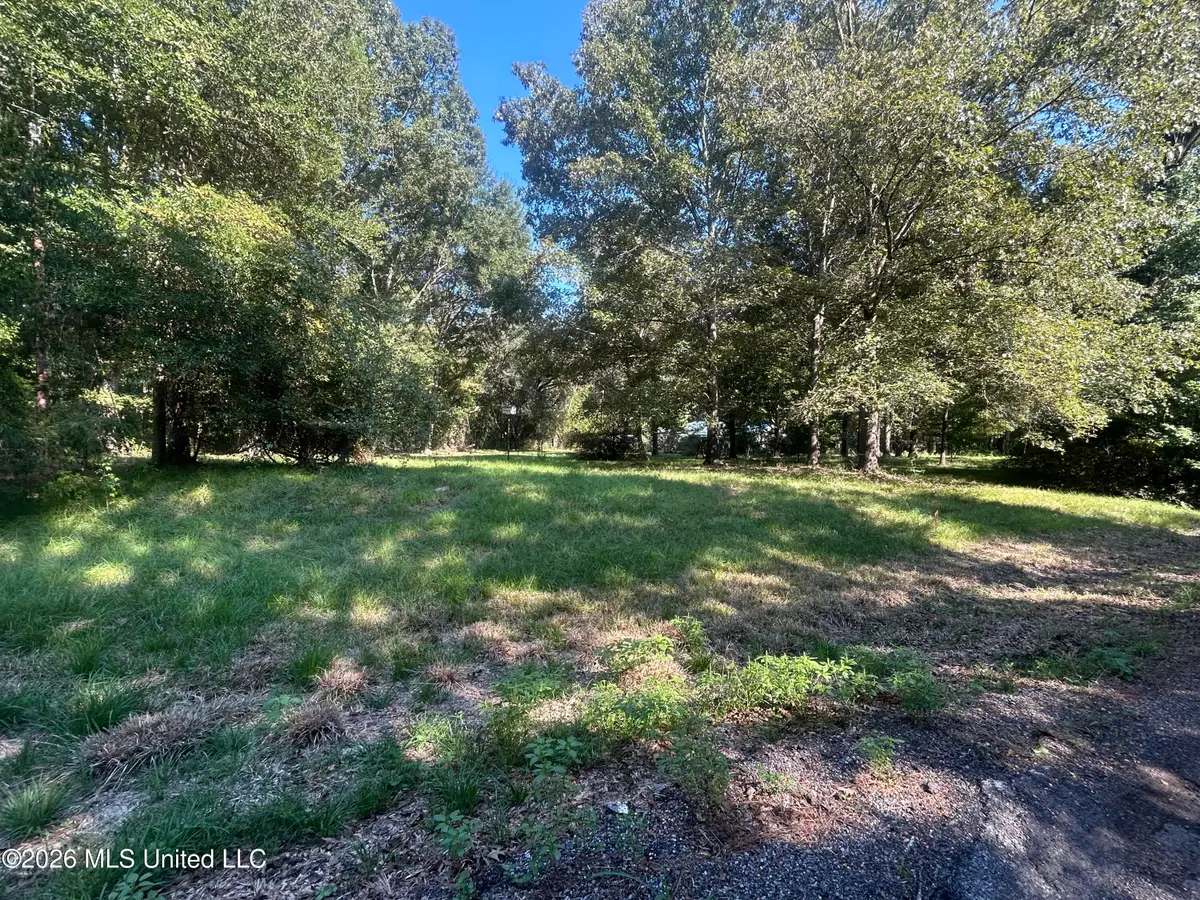 323 Upper Kingston Road, Natchez, MS 39120 - #1