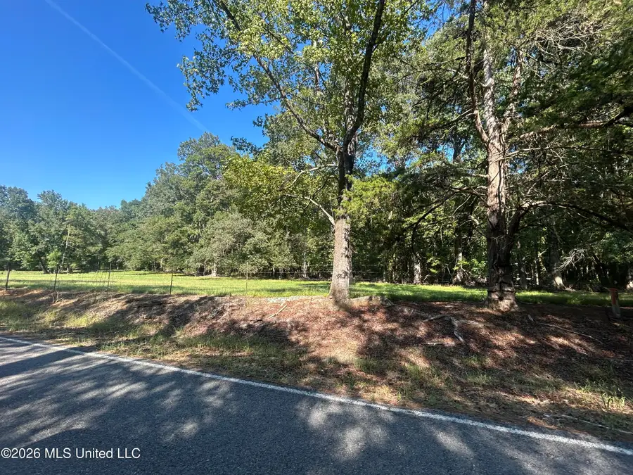 323 Upper Kingston Road, Natchez, MS 39120 - #3