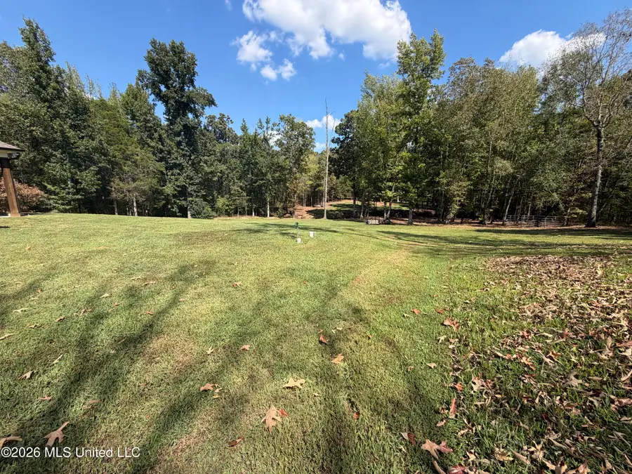 232 Cross Creek Cove, Byhalia, MS 38611 - #3