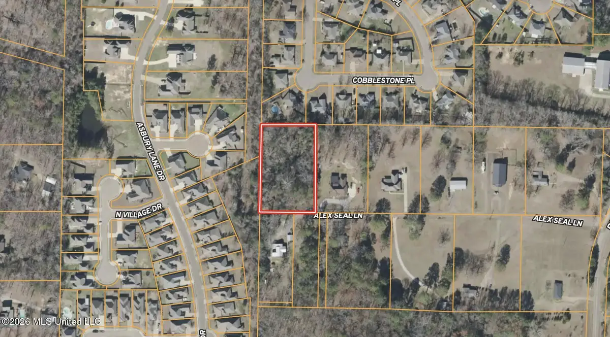 132 Alex Seals Lane, Brandon, MS 39042 - #1