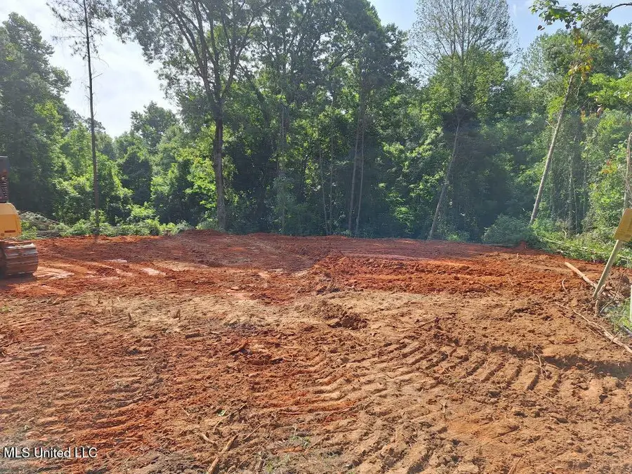 1063 Dry Creek Road, Mendenhall, MS 39114 - #2