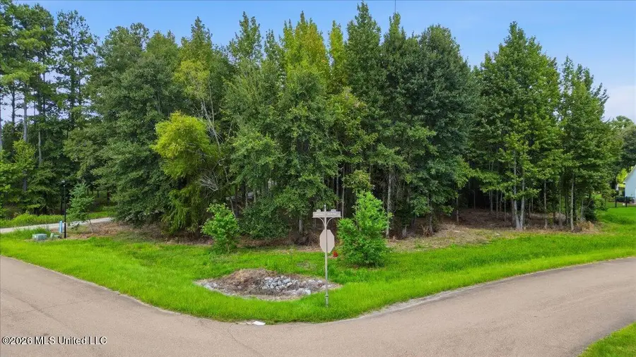 Grn Trce Lot #18 Cove, Ridgeland, MS 39157 - #2