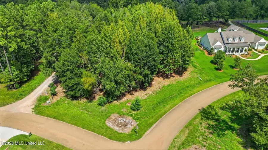 Grn Trce Lot #18 Cove, Ridgeland, MS 39157 - #3