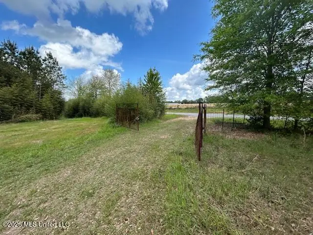 Mississippi 583, Tylertown, MS 39667 - #2