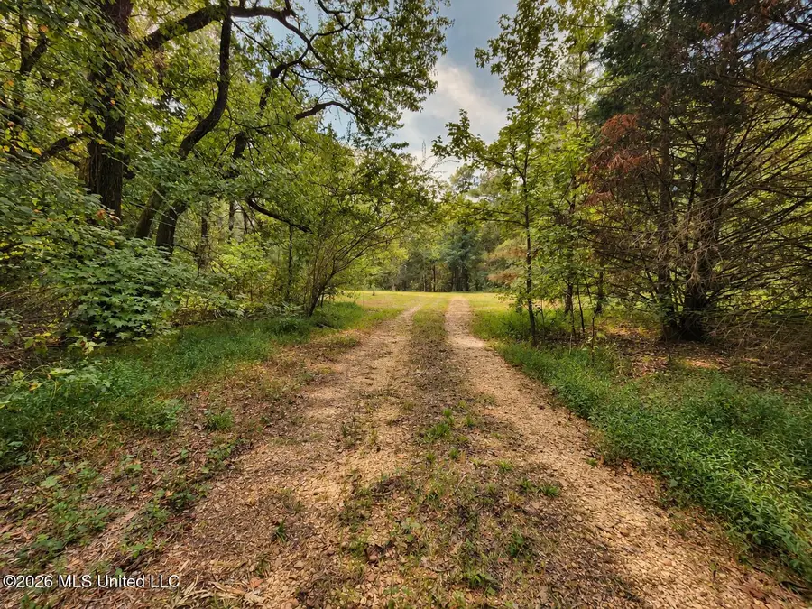 11572 Mississippi 315, Sardis, MS 38666 - #3