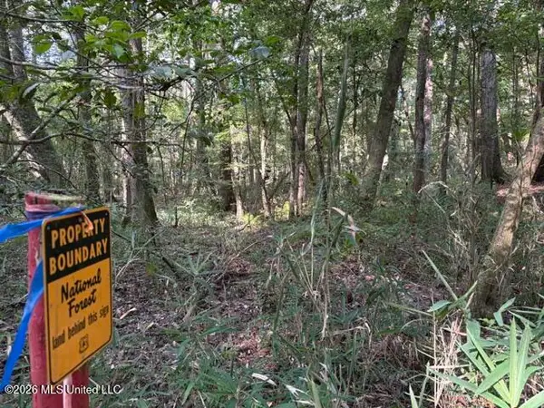Smith County Road 581, Raleigh, MS 39153