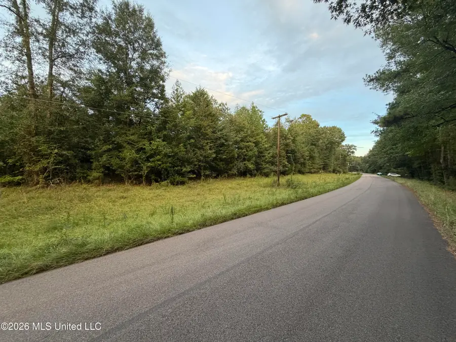 Hudson Street, Utica, MS 39175 - #2