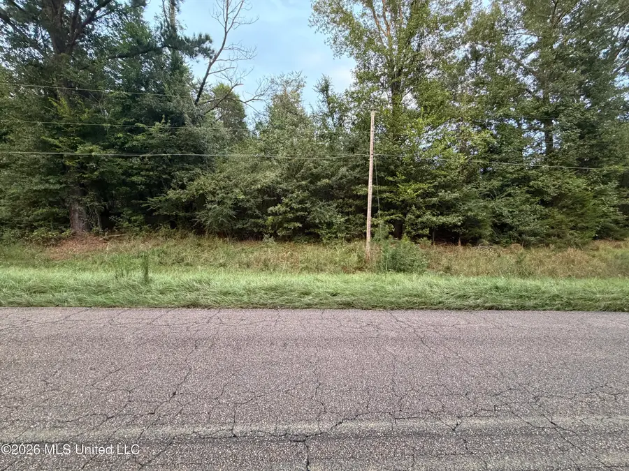 Hudson Street, Utica, MS 39175 - #3