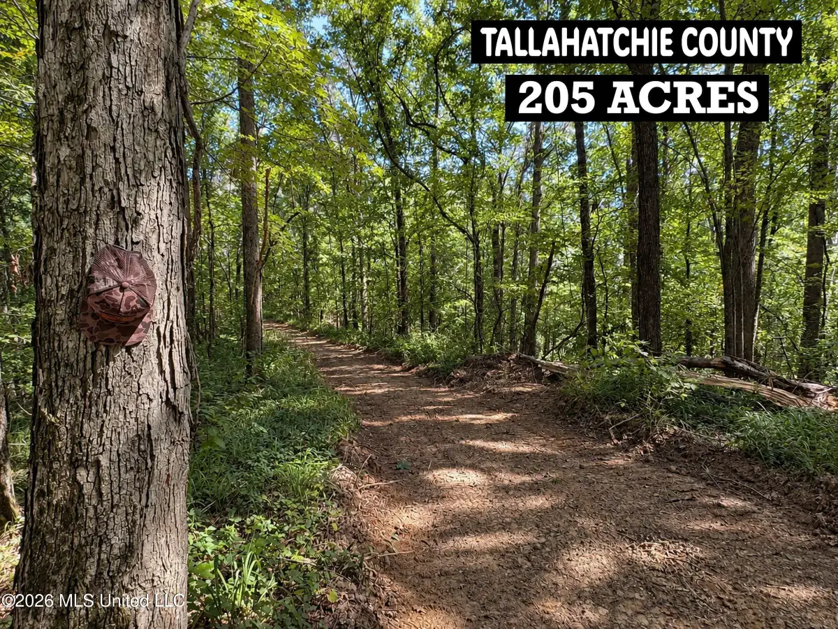 173 Cascilla Road, Cascilla, MS 38920 - #1