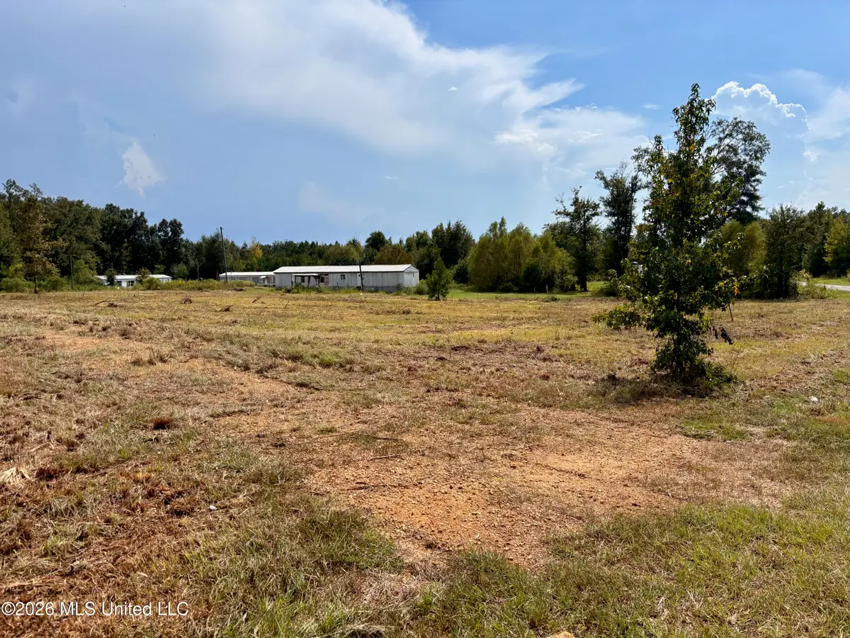 3170 Bahalia Road, Wesson, MS 39191 - #1