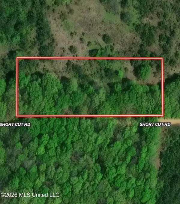 Stevenson Road, Brooksville, MS 39739