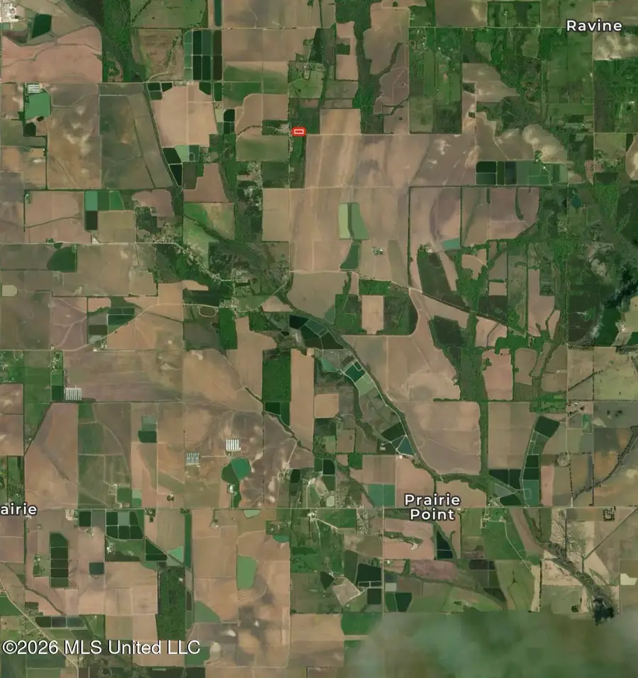 Stevenson Road, Brooksville, MS 39739 - #3