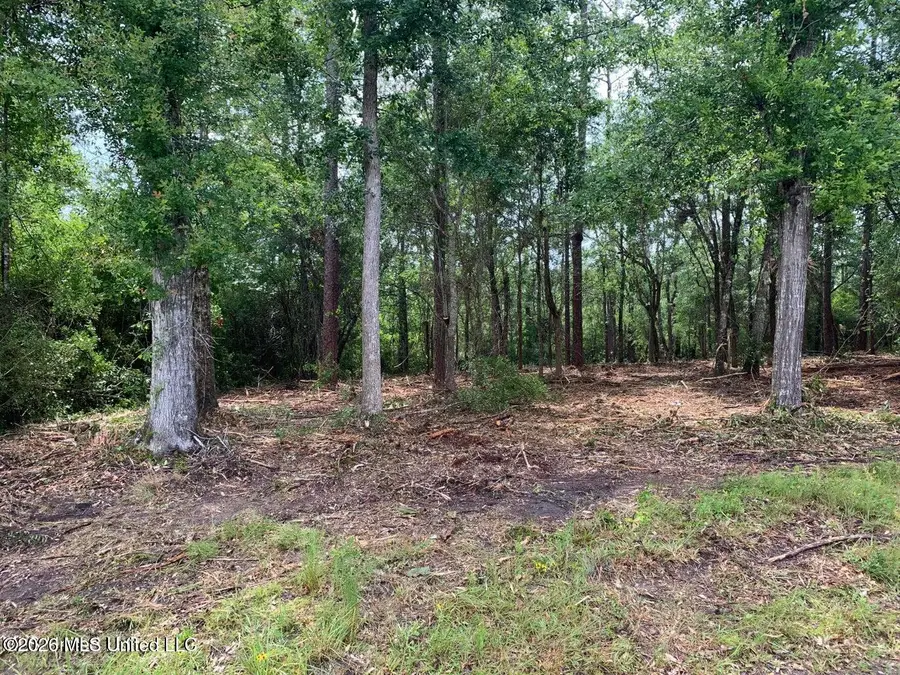 Akikai St, Diamondhead, MS 39525 - #2