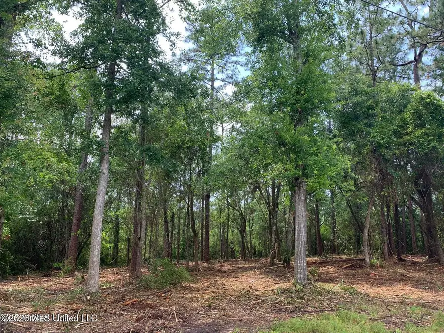 Akikai St, Diamondhead, MS 39525 - #3