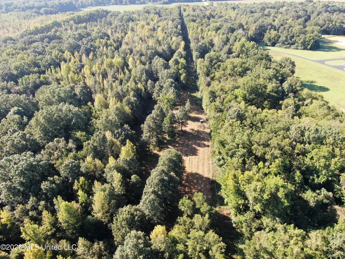 390 Old Panola Rd, Sardis, MS 38666 - #1