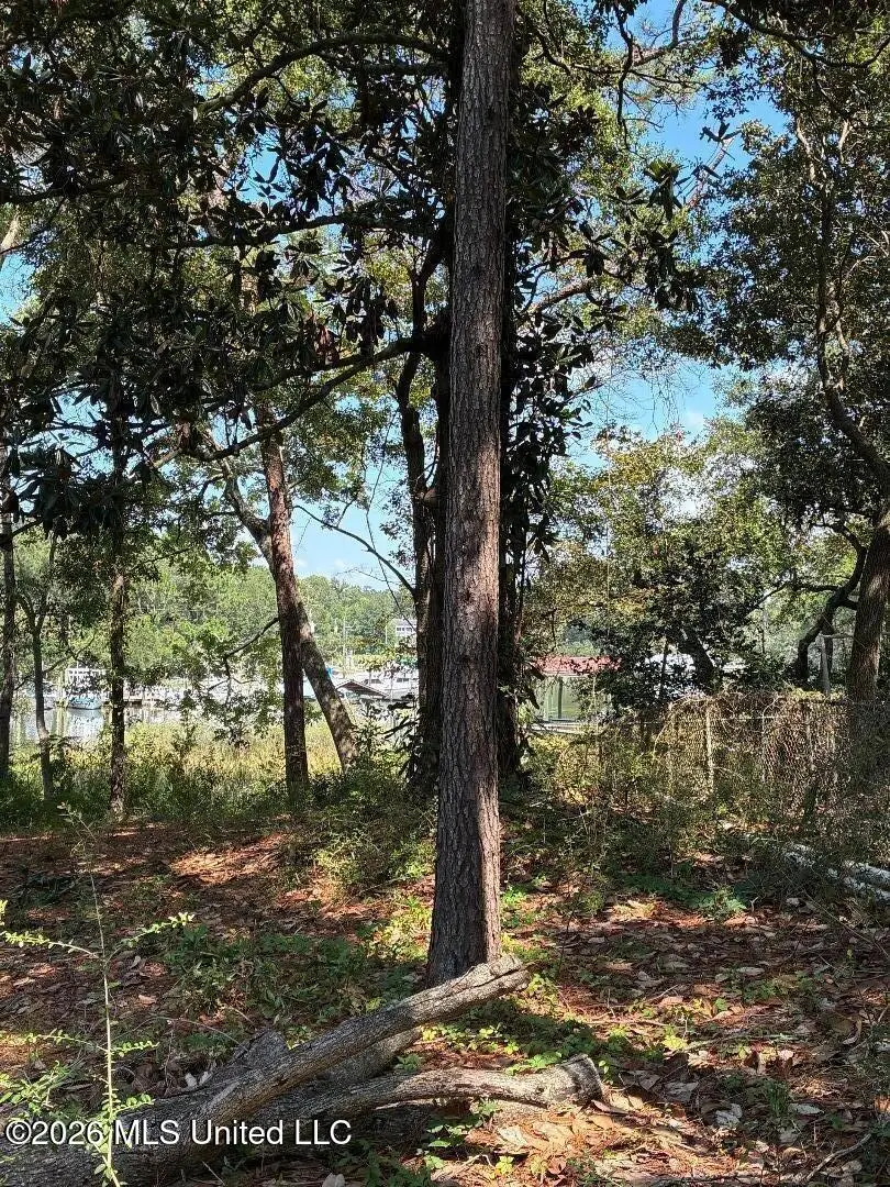 105 Shearwater Drive, Ocean Springs, MS 39564 - #3