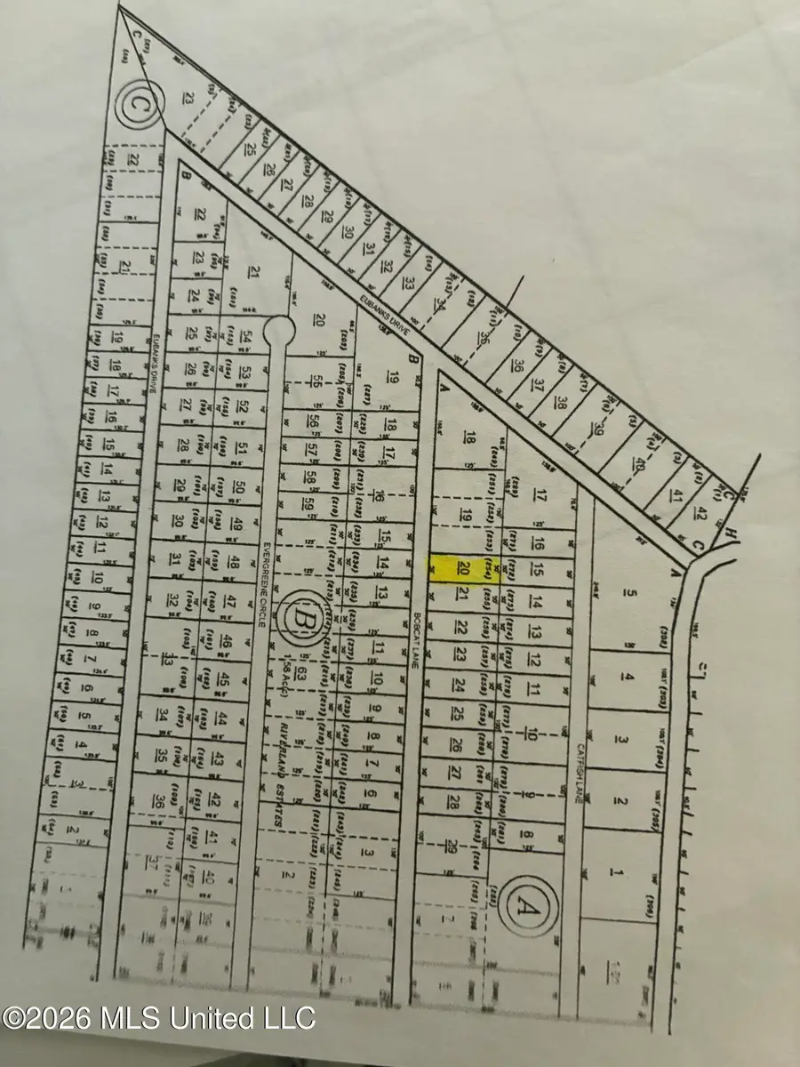 Bobcat Lane, Lucedale, MS 39452 - #2