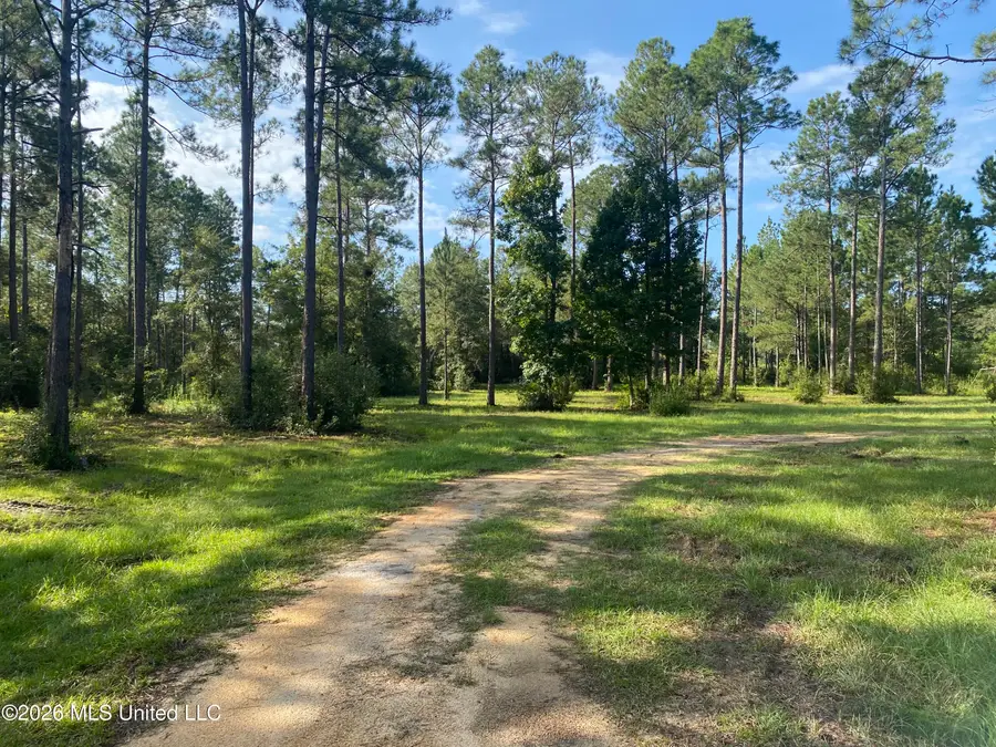 58 Grady Diamond Road, Perkinston, MS 39573 - #2