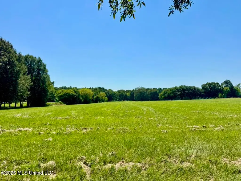 000001 Green Acres Drive, Canton, MS 39046 - #1