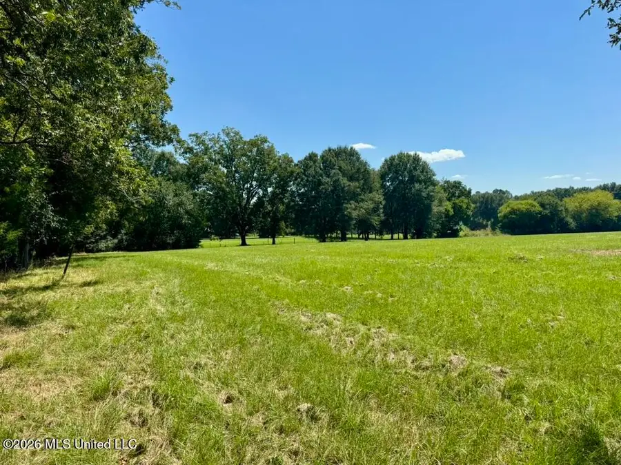 000001 Green Acres Drive, Canton, MS 39046 - #2