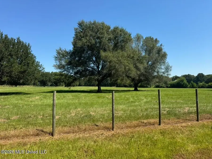 000001 Green Acres Drive, Canton, MS 39046 - #3