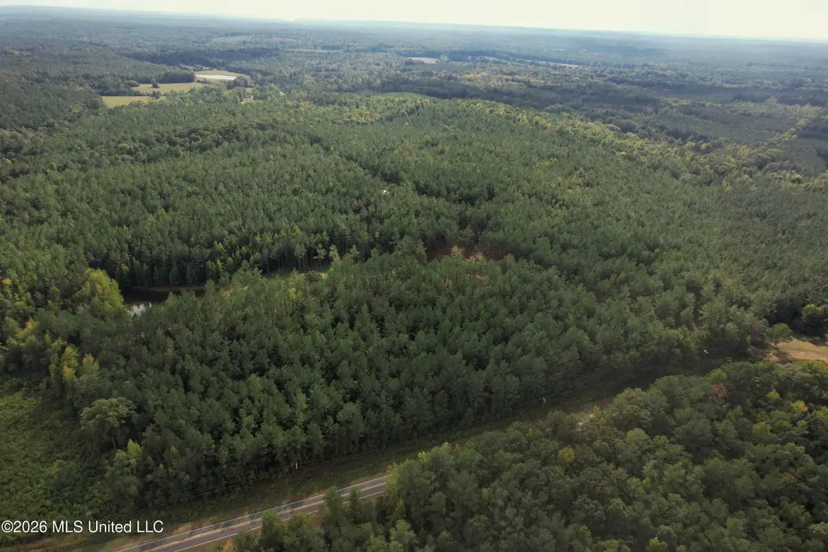 5529 Mlking Junior Drive, Eupora, MS 39744 - #1