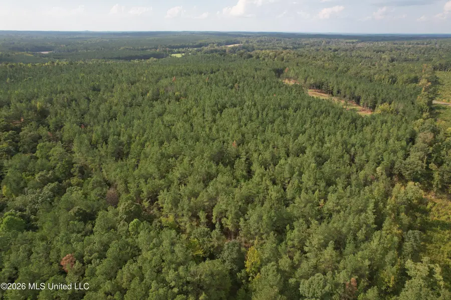 5529 Mlking Junior Drive, Eupora, MS 39744 - #2