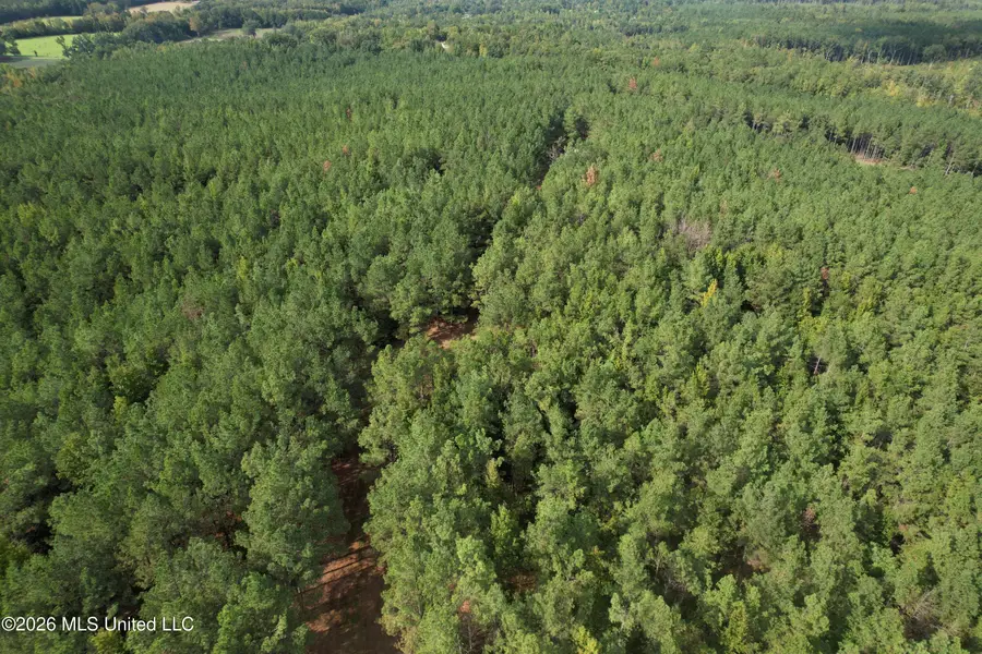 5529 Mlking Junior Drive, Eupora, MS 39744 - #3