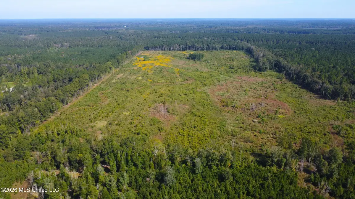 River Bend Road, Columbia, MS 39429 - #1