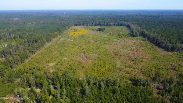 River Bend Road, Columbia, MS 39429